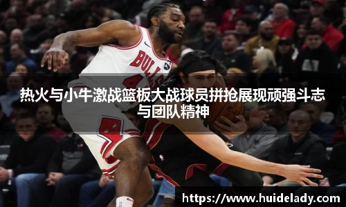 热火与小牛激战篮板大战球员拼抢展现顽强斗志与团队精神